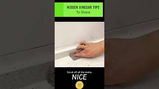 Vinegar Wonders How to Use Vinegar for Cleaning and More vinegar cleaning hometips [upl. by Clayberg]