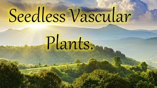 Chapter 21  video  Seedless Vascular Plants [upl. by Cichocki]