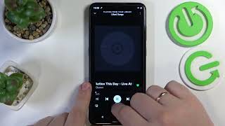 How to Listen to Spotify Offline  Download Spotify Songs [upl. by Enamrahs917]