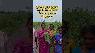 மூலம் இருந்தால் சந்திரா அக்கா சொல்றதை கேளுங்க httpsyoutubesYqeN7mBtnE shorts [upl. by Yecak]