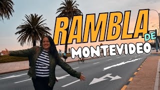 La rambla uruguaya  El paraíso secreto de Montevideo [upl. by Kahlil135]