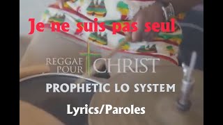 JE NE SUIS PAS SEUL LyricsParoles [upl. by Boles]