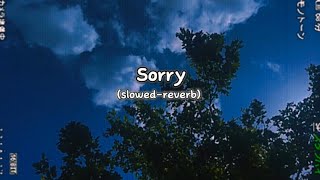 Justin Bieber  Sorry SlowedReverb [upl. by Enidualc334]