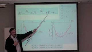 Kinetics of spindependent aggregation of the doping ions [upl. by Alver]