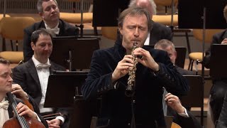 Albrecht Mayer – JS Bach Arioso from Cantata 156 Sinfonia [upl. by Pantin485]