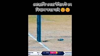 Wonderful wicket New vedio cricket [upl. by Xxam]