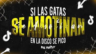 SI LAS GATAS SE AMOTINAN  DJ MATTY PEIPPER [upl. by Enilreug]