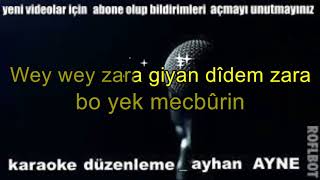 didem zara karaoke kürtçe [upl. by Aggappora]