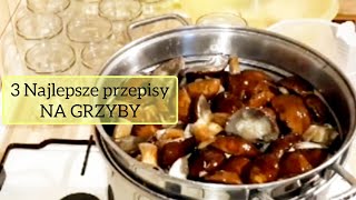 NAJLEPSZY przepis na grzyby w zalewie słonej 3 przepisy Łatwo Suszenie grzybów asmr [upl. by Brandwein449]