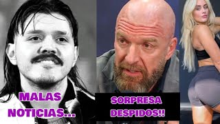 HORRIBLES Noticias Dominik DESPIDOS en WWE sorprende Tiffany Stratton [upl. by Ayanet745]