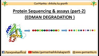 PROTEIN SEQUENCING amp ASSAYS  EDMAN DEGRADATION METHOD  PART2 [upl. by Lionel]