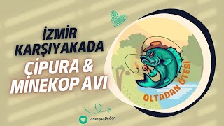 İzmir Karşıyakada Çipura amp Minekop Avı [upl. by Amelia]