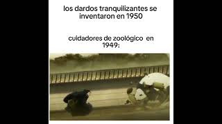 Los dardos tranquizantes animeedit animememe [upl. by Nilrak346]