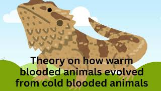 How warm blooded animals evolved from cold blooded animals [upl. by Acey]