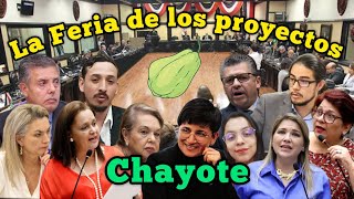 La Feria de los proyectos Chayote [upl. by Avevoneg]