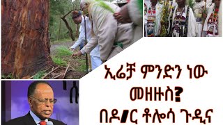 እሬቻ ምንድን ነው በ ቄስ ዶር ቶሎሳ ጉዲና what is irreecha by pastor DR Tolossa gudina irreechan maal inni [upl. by Jandy174]