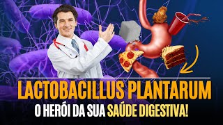 Lactobacillus plantarum O Herói da sua Saúde Digestiva [upl. by Salokcin868]