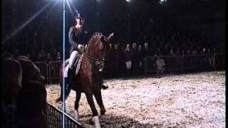 1 Leader Of World Ranking Dressage  GP KWPN stallion Jazz sCocktail [upl. by Chiarra]