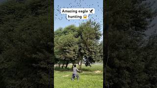 Amazing eagle hunting 🦅😱 birds birdhunting hunting shorts youtubeshorts trendingshorts [upl. by Ordnajela396]