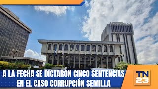 A la fecha se dictaron cinco sentencias en el caso corrupción Semilla [upl. by Eisset870]