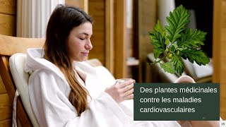 La phytothérapie pour prévenir les maladies cardiovasculaires [upl. by Mukund175]