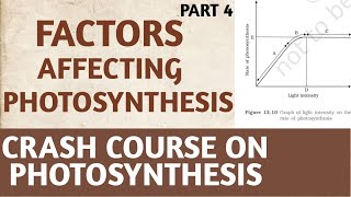 PhotosynthesisClass 11NCERTPart4Factors Affecting PhotosynthesisCrash CourseNEETAIIMSBiology [upl. by Nizam]