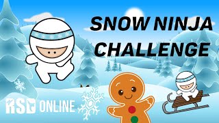 Snow Ninja Challenge  Virtual Winter Workout Get Active Games [upl. by Ynnob409]