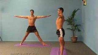 Yoga Asanas  Triangle Pose Trikonasana Asana [upl. by Nalepka981]