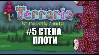 СТЕНА ПЛОТИ  КООП  FOR THE WORTHY  MASTER  TERRARIA [upl. by Eelir]