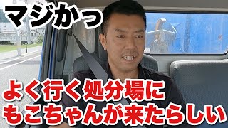 【産廃トラック運転手】処分場に、もこちゃんが来たという話。 [upl. by Omissam803]