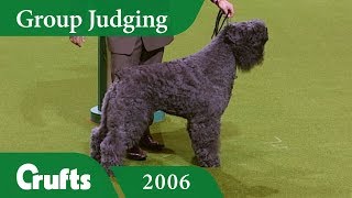 Bouvier Des Flandres wins Working Group Judging at Crufts 2006 [upl. by Leaper]