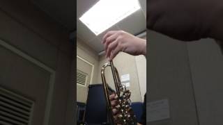 Jinbao rotary trumpet testing [upl. by Ojahtnamas]