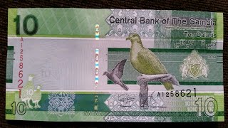 Gambia Banknote  10 Dalasis 2019 UNC  New Gambia Banknote [upl. by Ragde]