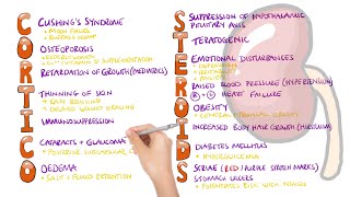 Corticosteroid Side Effects Mnemonic  What are the side effects of corticosteroids [upl. by Abercromby]