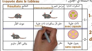 المناعة  درس المتعضيات المجهرية الجزء الثالث والأخير  Limmunité  les microorganismes 3AC SVT [upl. by Angrist783]