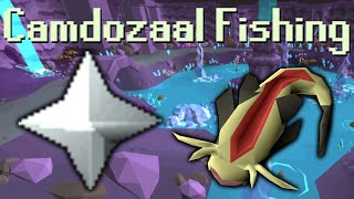 OSRS F2P Camdozaal FishingCookingPrayer [upl. by Dillie]