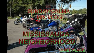 MISSISSAUGA NEIGHBORHOOD [upl. by Aubigny740]