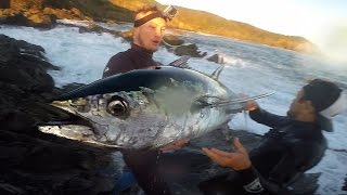 Fishing for Northern Bluefin Tuna [upl. by Allyce]