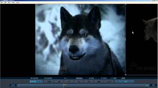 PDPLAYER  7 Masks Exporting Movies video tutorial  Chris Nichols [upl. by Karna]