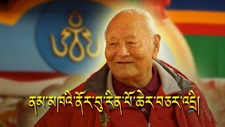 Origin of Tibetan Script and Shangchung ཆོས་རྒྱལ་ནམ་མཁའི་ནོར་བུ་རིན་པོ་ཆེ་ལ་དམིགས་བསལ་བཅར་འདྲི། [upl. by Annahsar]