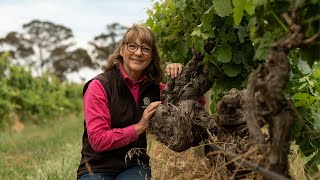 Prue Henschke 2024 Hall of Fame Wine Industry Inductee [upl. by Can540]