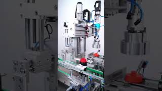 Automatic Servo Grabbing Capping Machine [upl. by Depoliti]