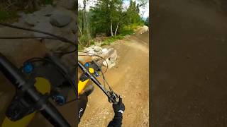 Best section in hemsedal bike park 🤙🏼😎 mtb mountainbiking hemsedal shorts hemsedalbikepark [upl. by Drice]