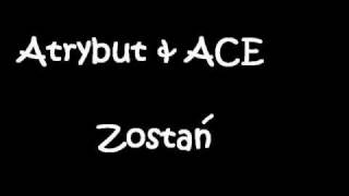 Atrybut amp ACE  Zostań [upl. by Ettesus]