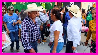 🤯😱 Estas parejas SI LE SABEN a la bailada domingos de huapango en Xilitla [upl. by Ettari]