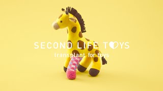 Second Life Toys Intro [upl. by Harbert]