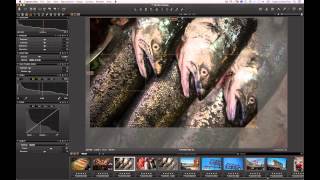 The Vignetting Tool in Capture One Pro 7  Phase One [upl. by Eadrahs]