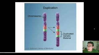 Chromosomal Mutations [upl. by Anawed]