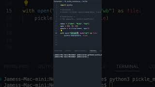 Python 3  Easy Object Serialisation python3 coding programming [upl. by Dadinirt665]