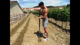 Huerto de Secano en Bodegas Urbina La Rioja [upl. by Philippe]